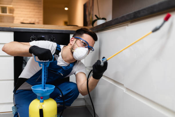 Best Ant Control Services  in Homosassa, FL