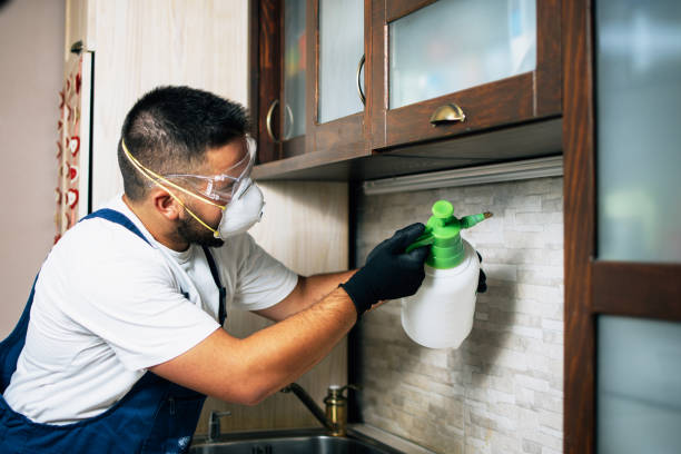Trusted Homosassa, FL Pest Control Experts