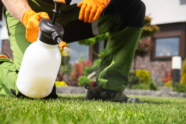 Best Commercial Pest Control Services  in Homosassa, FL