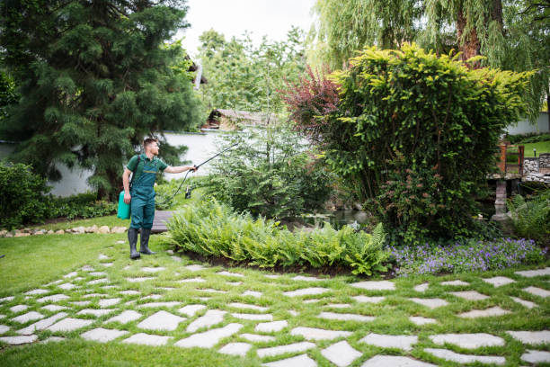 Best Local Pest Control Services  in Homosassa, FL