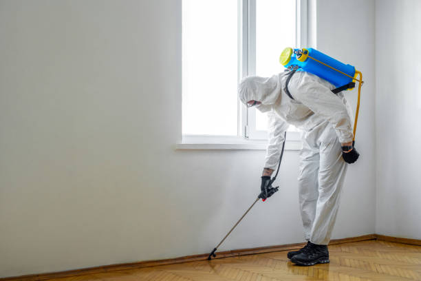 Best Emergency Pest Control  in Homosassa, FL