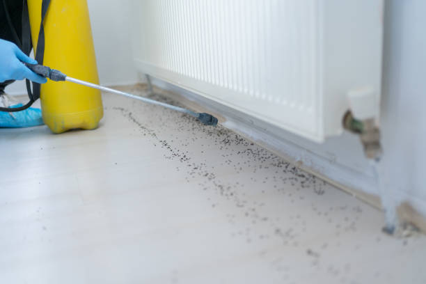 Best Bed Bug Extermination  in Homosassa, FL