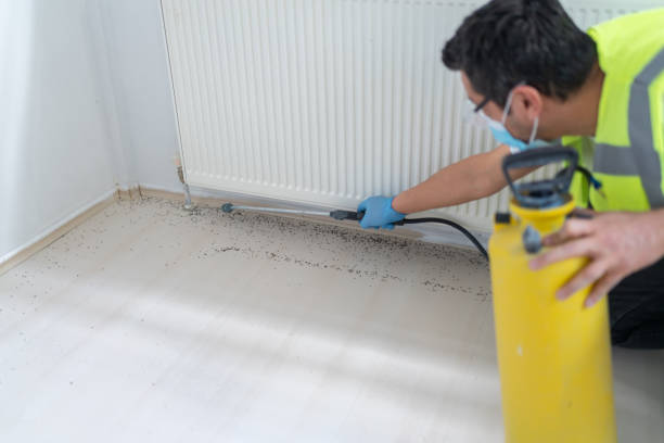 Best Pest Control Near Me  in Homosassa, FL