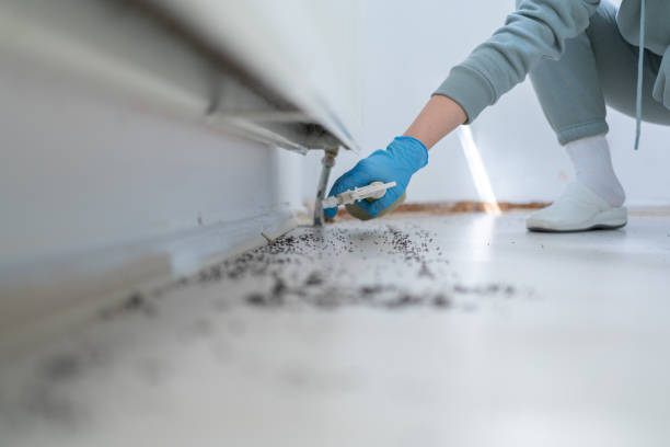 Best Exterminator Services  in Homosassa, FL